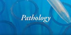 Pathology Image